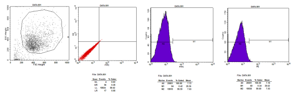5cbfc1bc1a850.png image.png