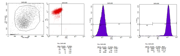 5cbfc1e1992bf.png image.png