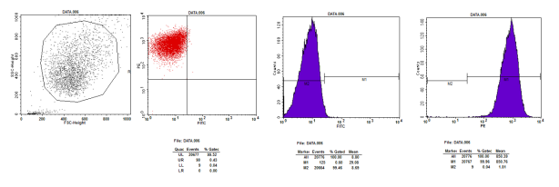 5cbfc1f45f8a5.png image.png