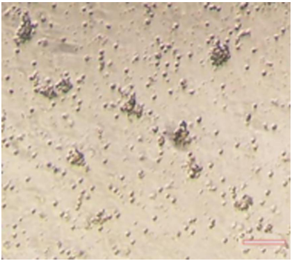 5cbfc62ebe5c3.png image.png