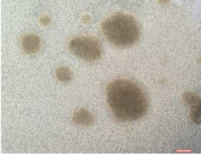 5cbfc64ef0dca.png image.png